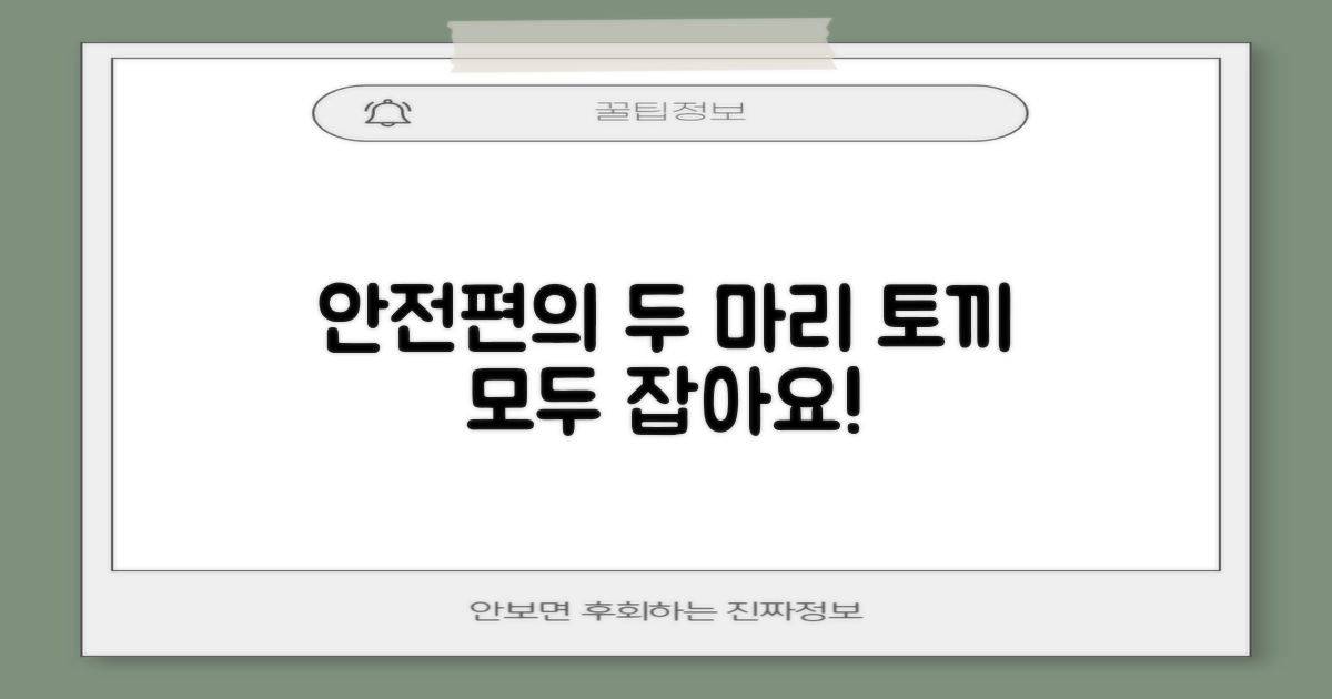안전과 편의, 두 마리 토끼 잡기