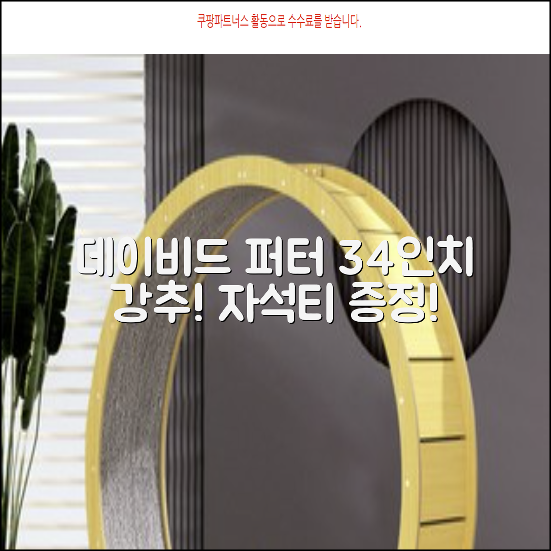 데이비드 프리미엄 투어 퍼터 말렛 블레이드 + 자석티 증정 퍼트 반달 일자, 34인치 추천 리뷰