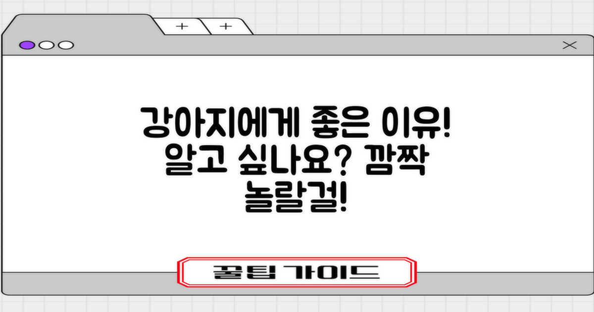 강아지에게 왜 좋을까요?