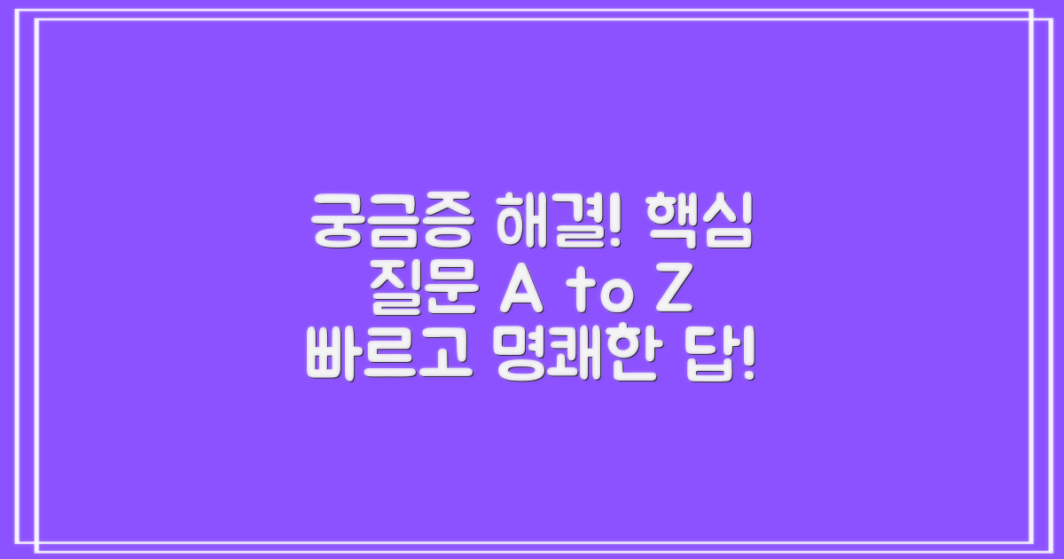 자주 묻는 질문