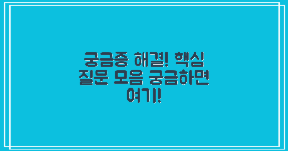 자주 묻는 질문