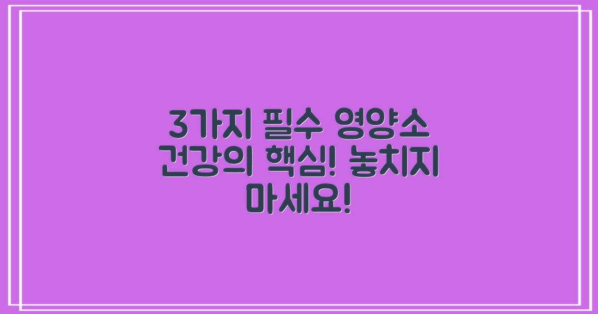 3가지 핵심 영양 성분