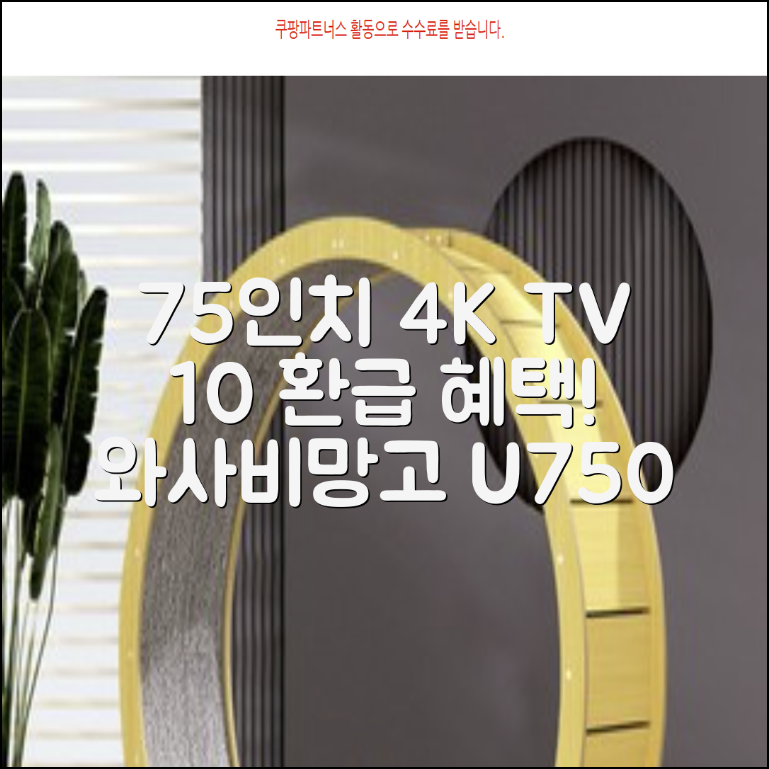 [10% 환급가전] 와사비망고 4K UHD ZEN U750 Max HDR TV, 189cm(75인치), 스탠드형, 방문설치 추천 리뷰