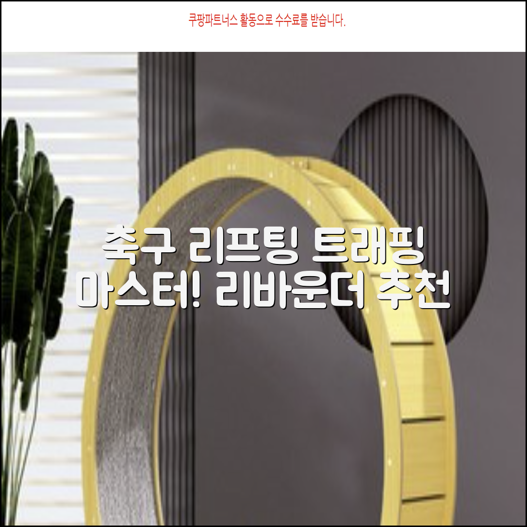 축구 리프팅 트래핑 리바운더 리바운드 네트, 1개 추천 리뷰