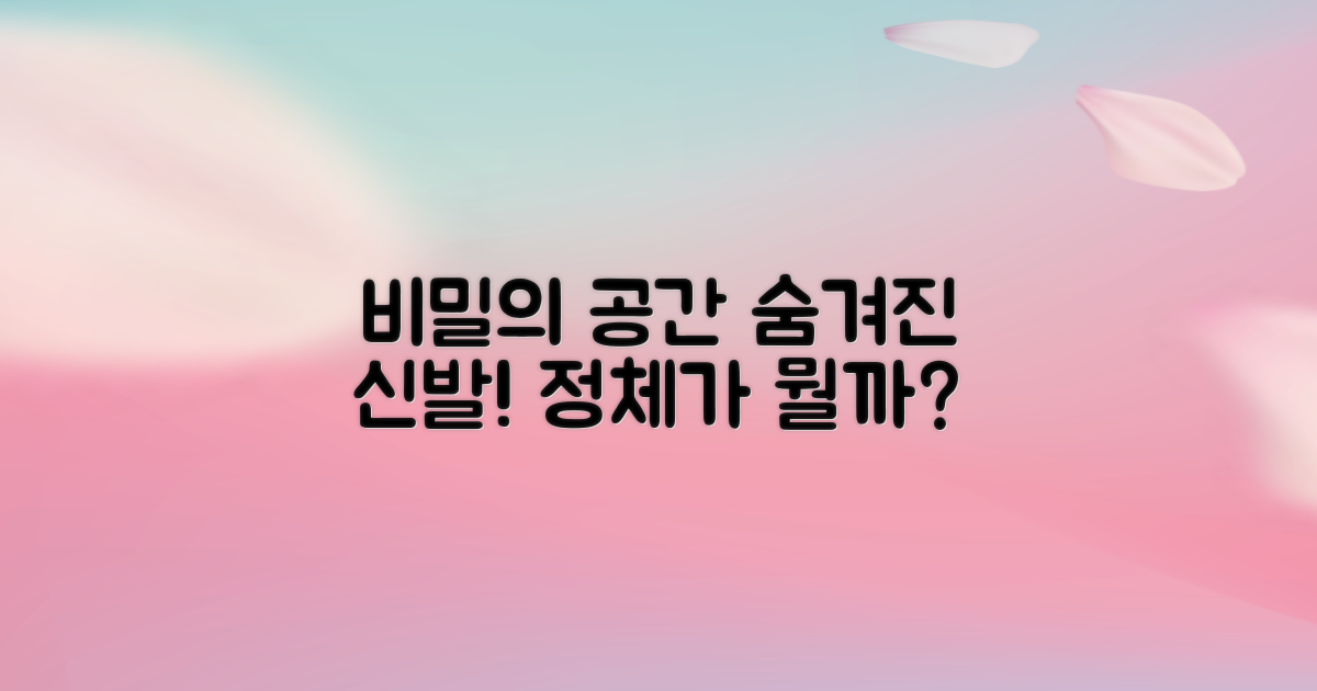 비밀공간, 어떤 신발일까?