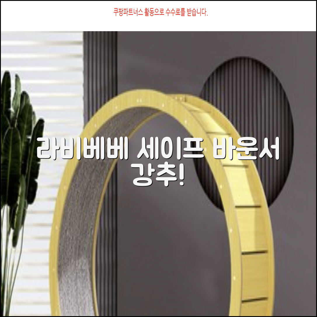 라비베베 세이프 바운서 추천 리뷰