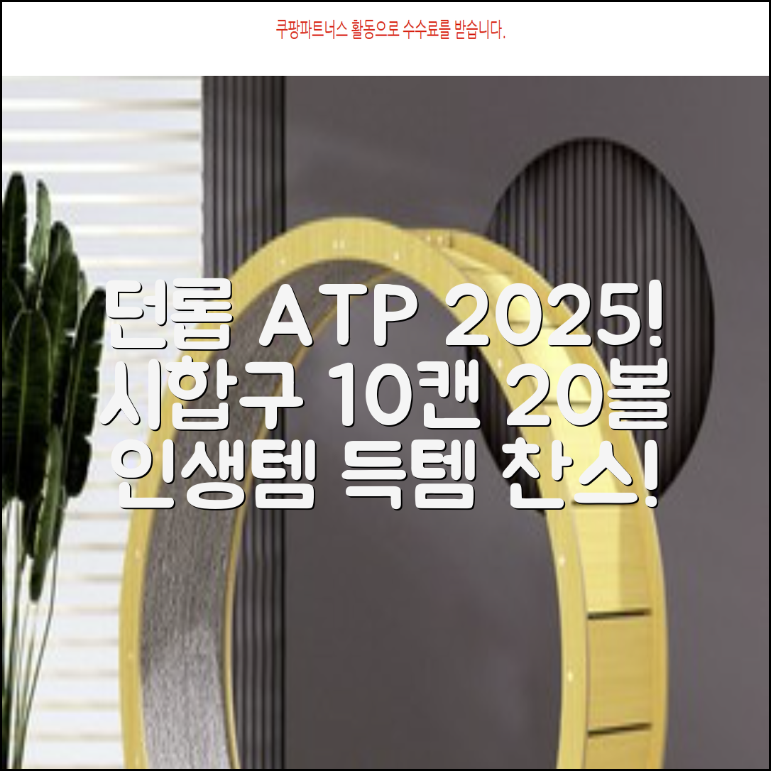 2025 던롭 ATP 테니스공 10캔 (20볼) 시합구, 던롭 ATP볼 10캔 (20볼), 10세트 추천 리뷰