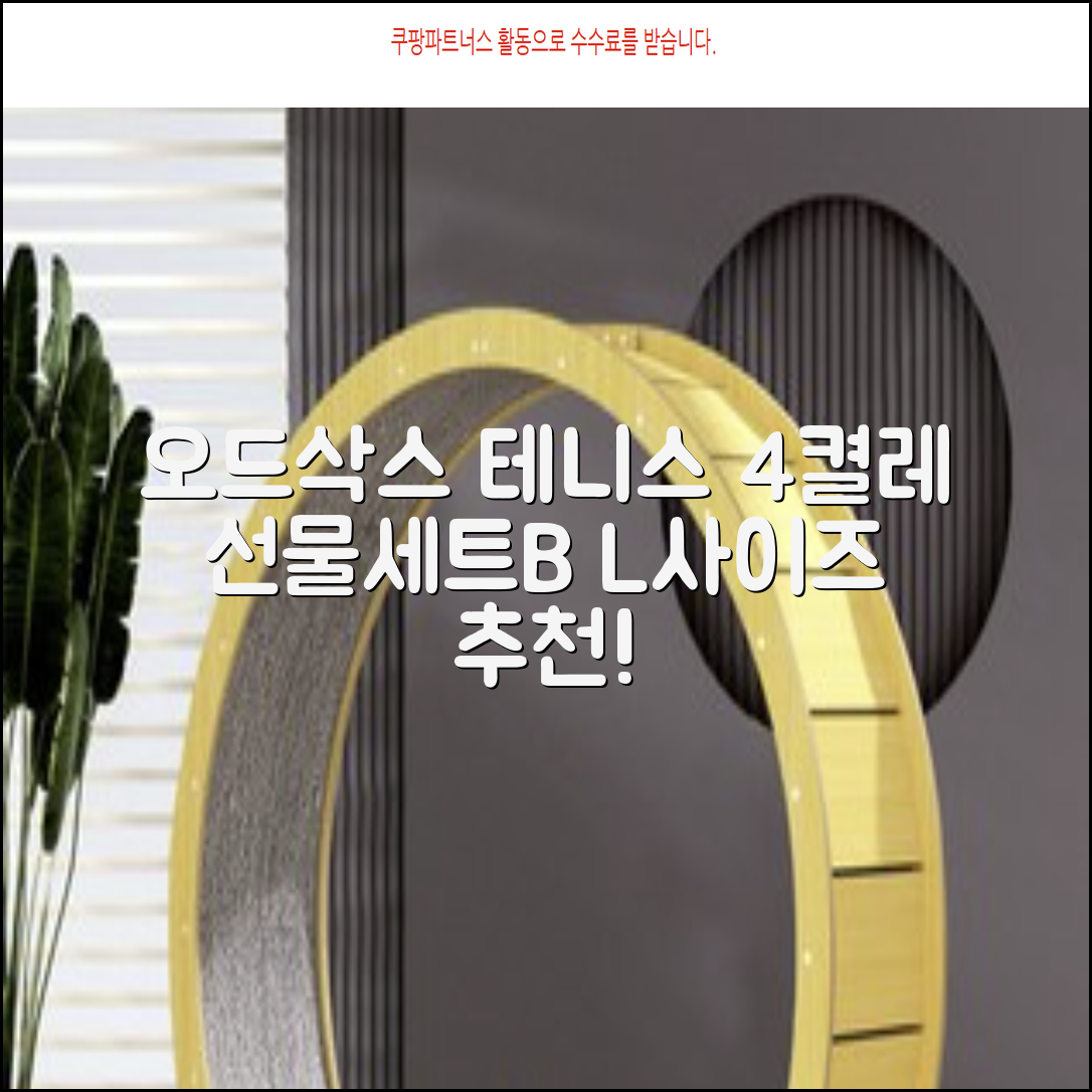 [오드삭스] 테니스 양말 세트B 4켤레 선물용, L(255mm-275mm), 1개 추천 리뷰